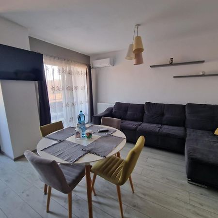 Gray Apartment Nearby Amethyst & Vivo Mall Floreşti エクステリア 写真